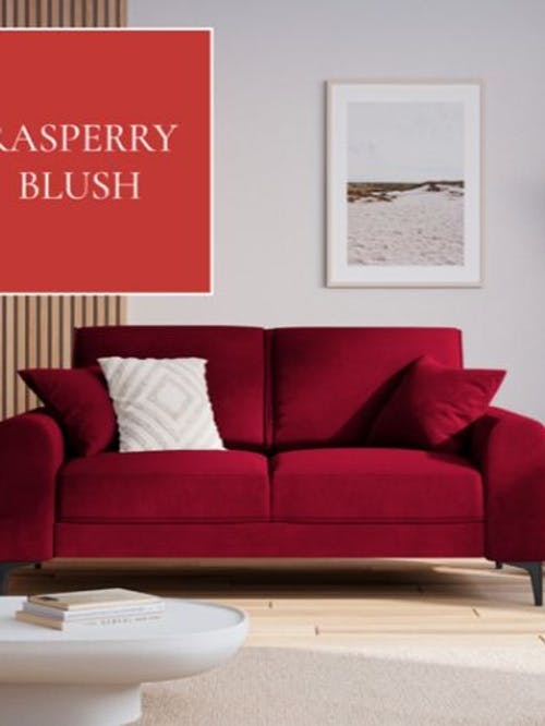 Raspberry-Blush-colored-couch
