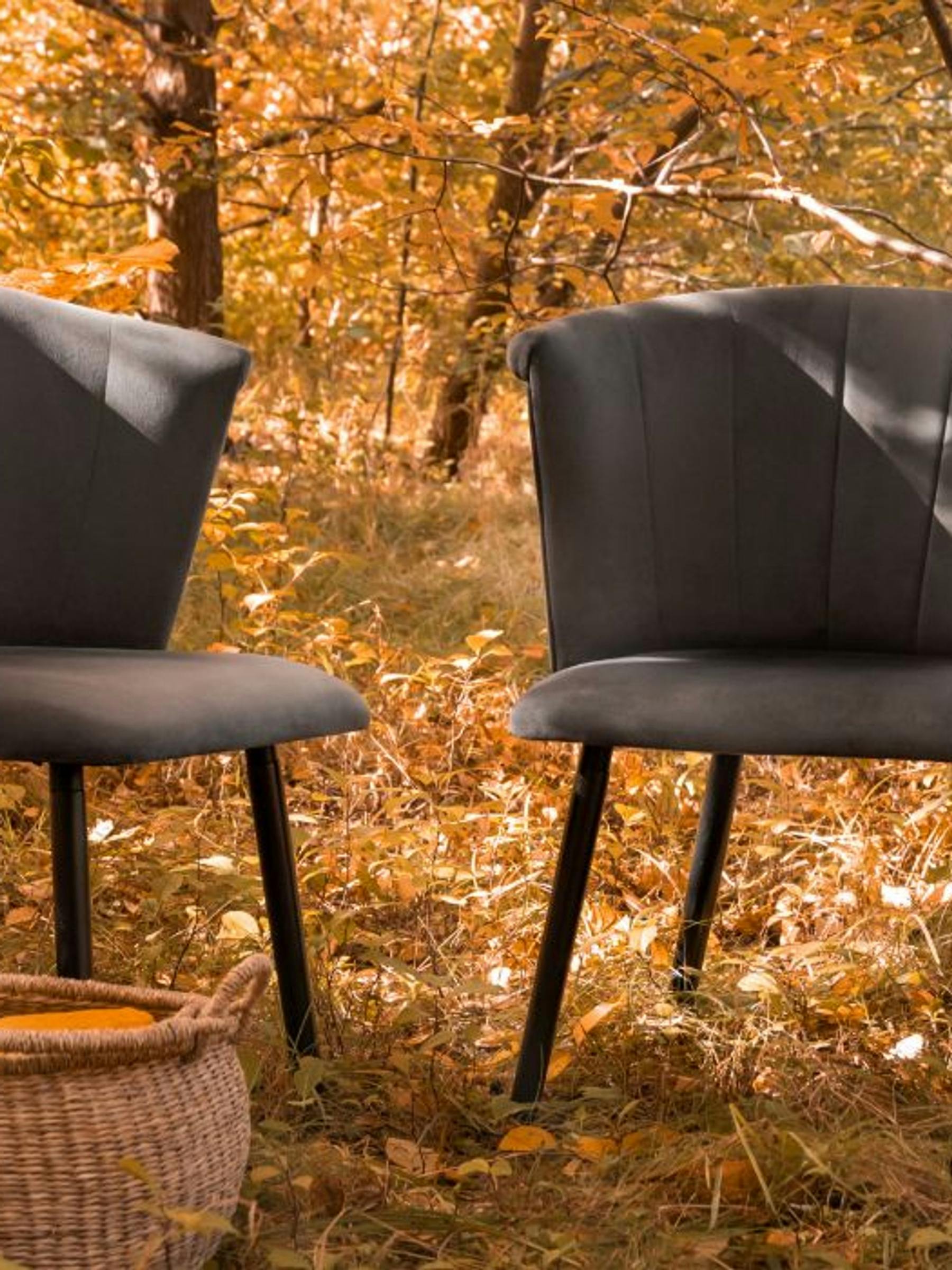 Dwa krzesła w jesiennej scenerii to inspiracja jak przygotować swój dom na jesień